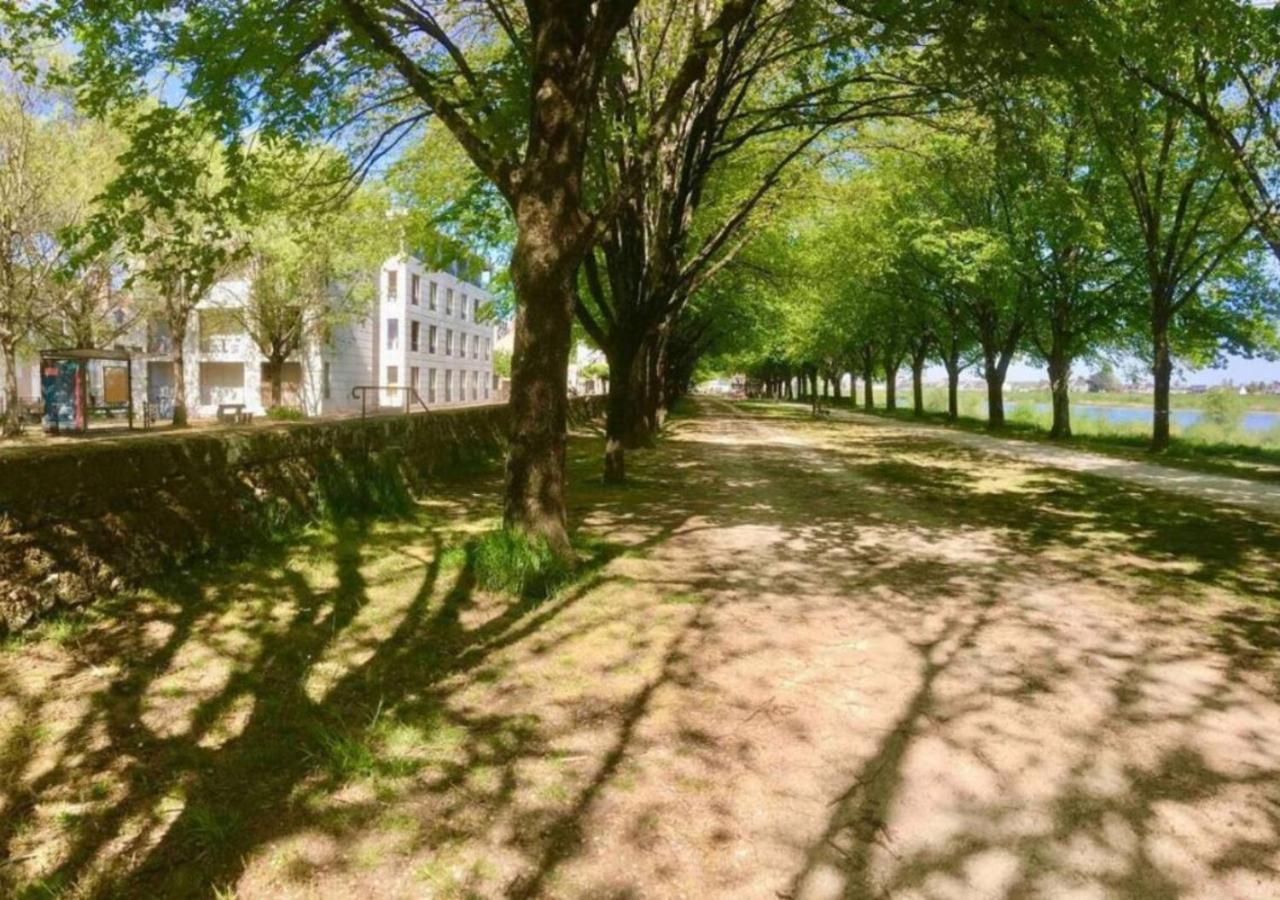 Apartment Confort En Centre-ville, Vue Sur La Loire *