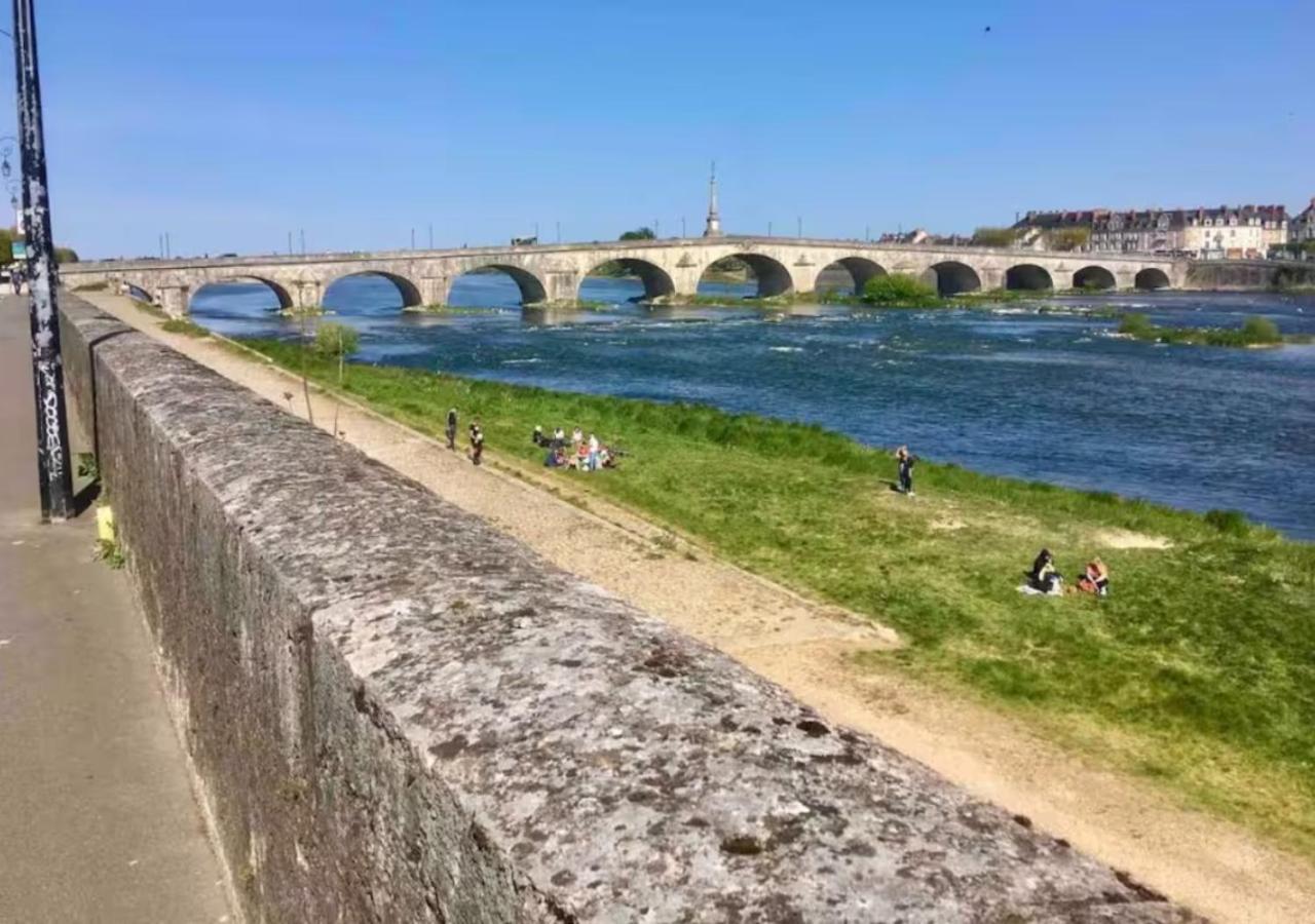 Confort En Centre-ville, Vue Sur La Loire * Blois