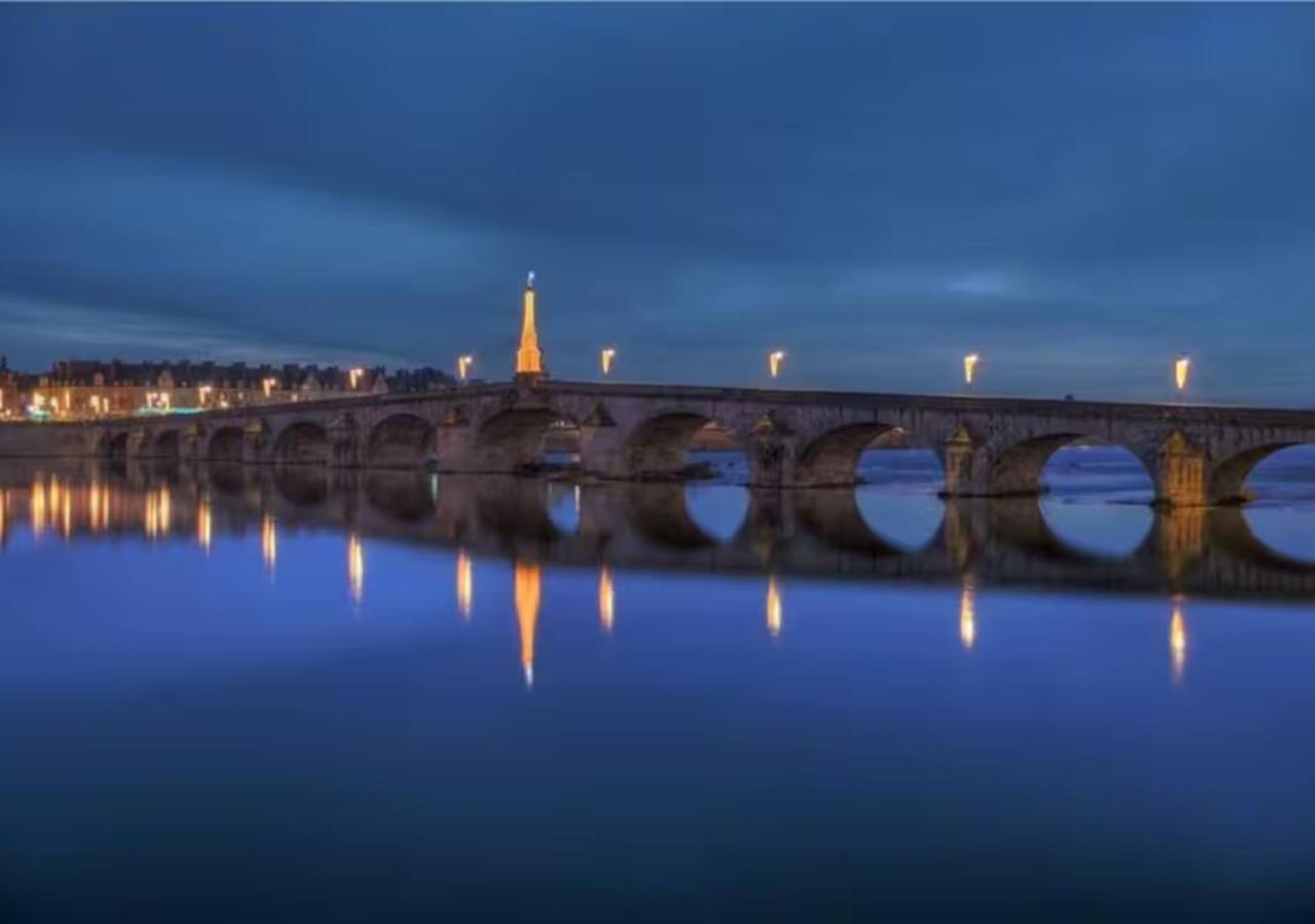 Confort En Centre-ville, Vue Sur La Loire Blois